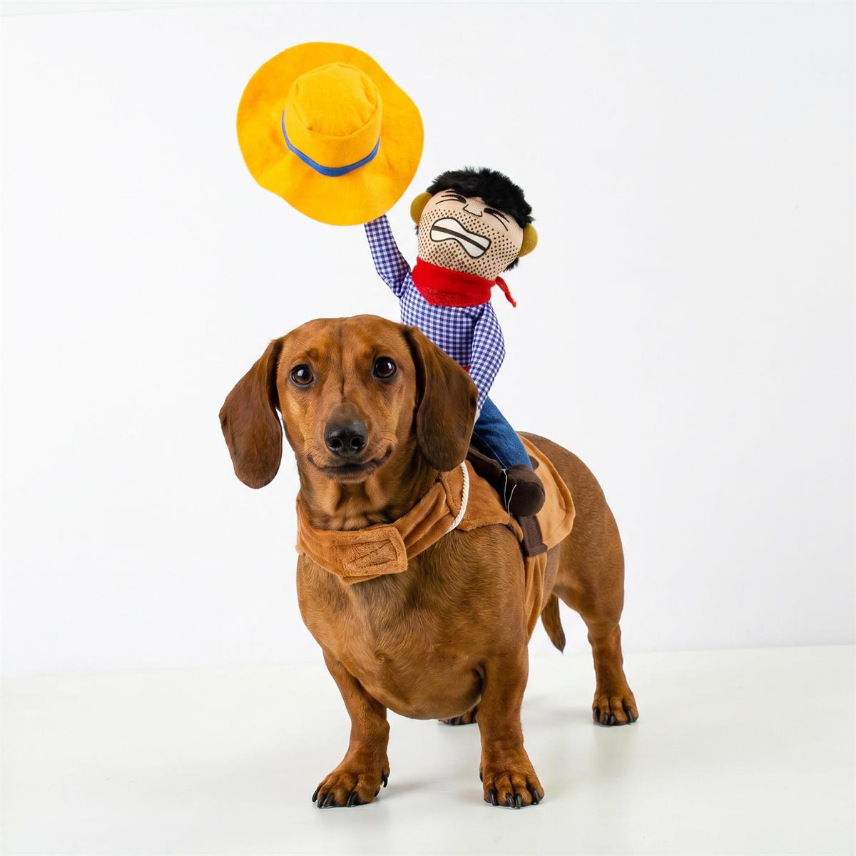 Cowboy Rider Dog Halloween Costume