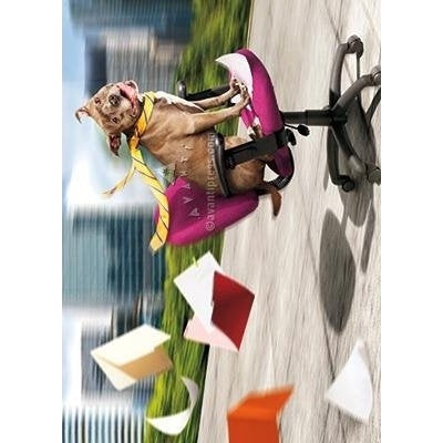 Avanti Dog / Office Chair Fun Retirement Greeting Card