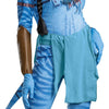 Adult Avatar Deluxe Neytiri Costume, Women's Size Large 12-14