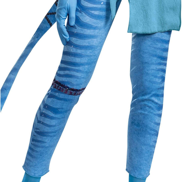 Adult Avatar Deluxe Neytiri Costume, Women's Size Large 12-14
