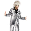 Adult Beetle Boss Costume