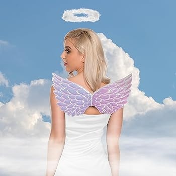 Angel Accessory Kit