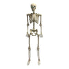 Animated Skeleton 60"