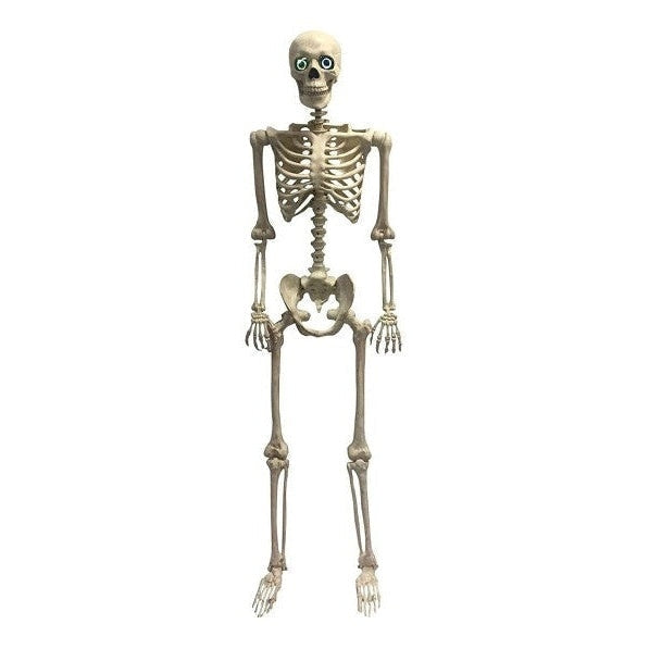 Animated Skeleton 60"