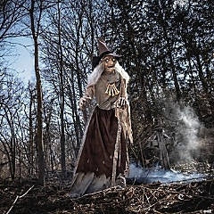 Animated Witch