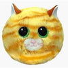Beanie Bouncer Cat