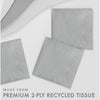Beverage Napkin 50 Count 2-Ply Shimmering Silver