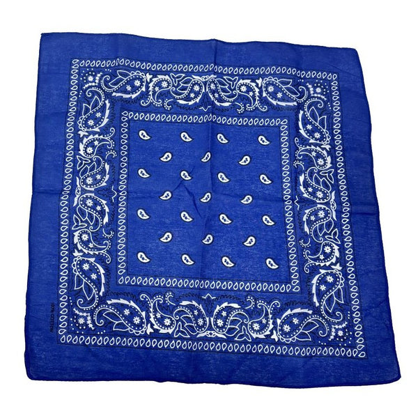 Blue Paisley Bandana 20x20inc