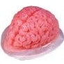 Brain Gelatin Mold