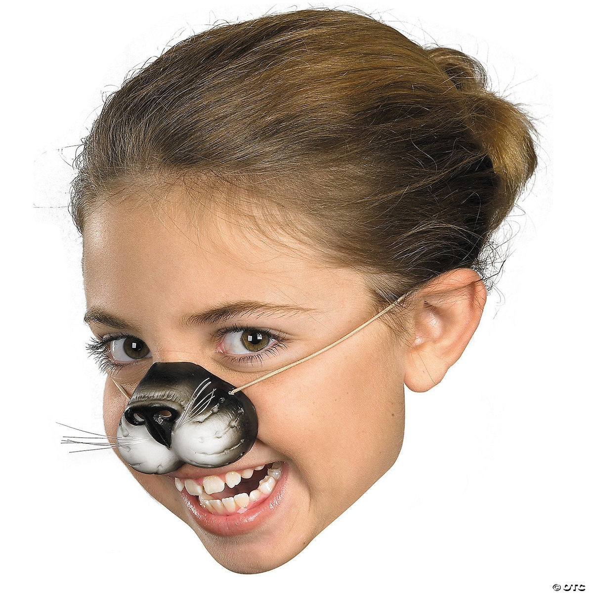 Cat Nose