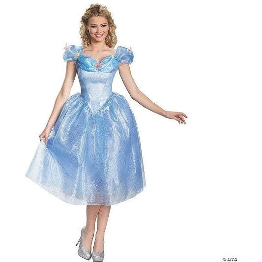 Adult Cinderella Costume