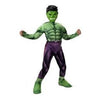 Hulk Youth Costume L