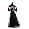 Wicked Witch Medium Adult Costume