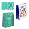 Father's Day Large Matte Gift Bag – Set of 2