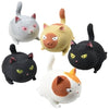 Feisty Felines