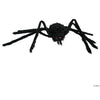 Furry Spider