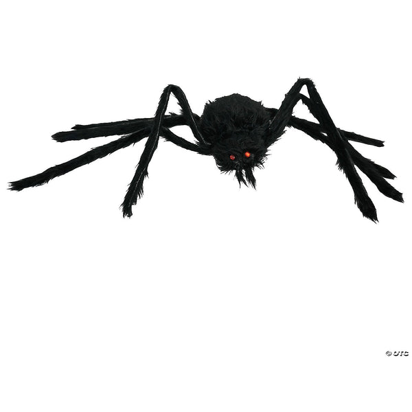 Furry Spider