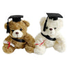Graduation 6" Plush Teddy Bear, Assorted Colours