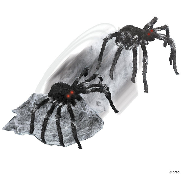 Jumping Spider