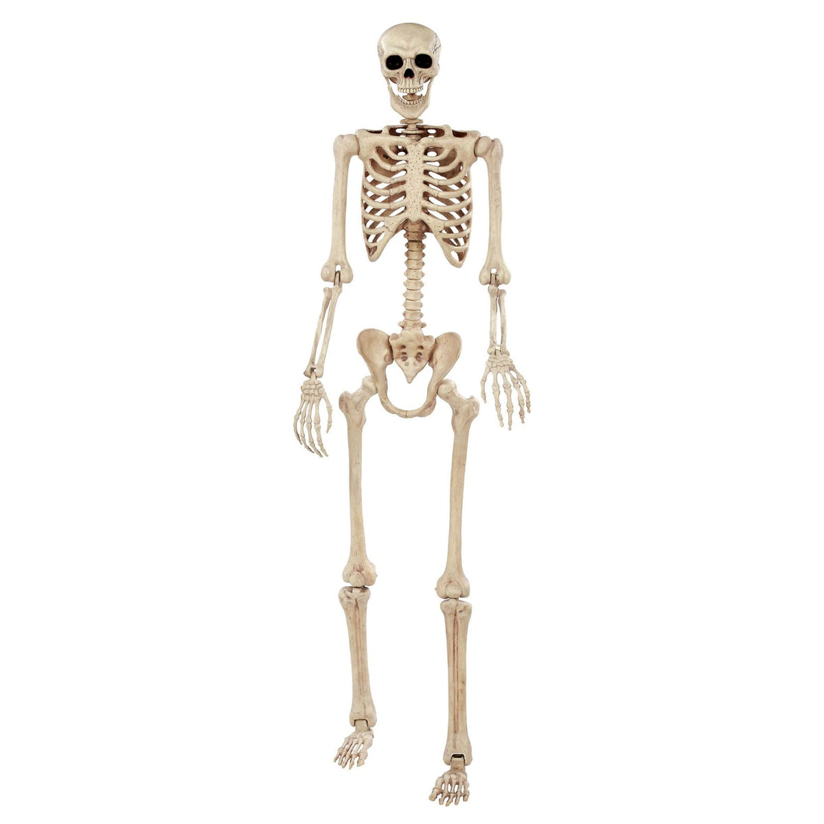 Large Pose N Stay Skeleton 74" 6.2' tall