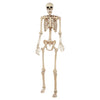 Large Pose N Stay Skeleton 74" 6.2' tall