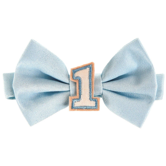 Little Mister One-derful Bowtie