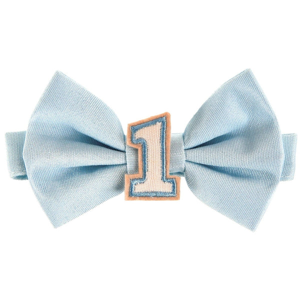 Little Mister One-derful Bowtie