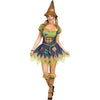 Medium/Large Scarecrow Adult Costume 10-14
