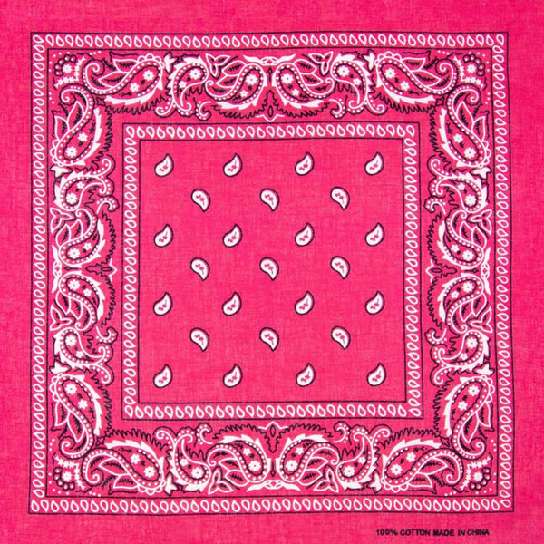 Pink Paisley Bandana