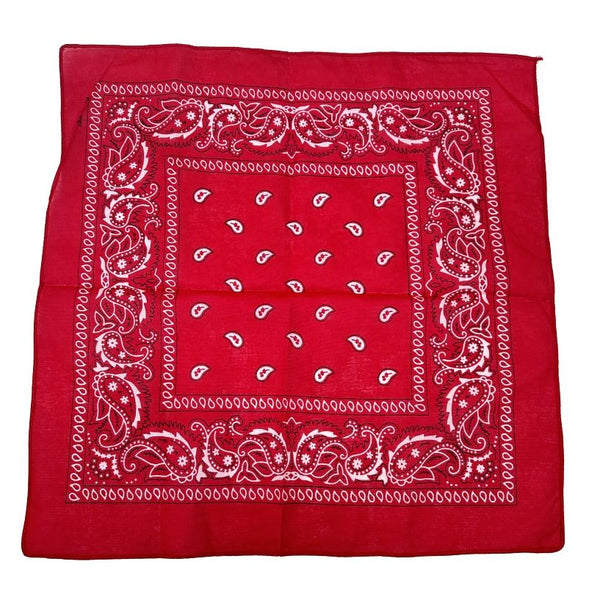 Red Paisley Bandana 20x20inch