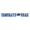 School Spirit Large Foil Letter Banner - Blue