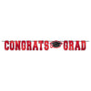 School Spirit Large Foil Letter Banner - Red