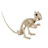 Skeleton Squirrel Halloween Decoration