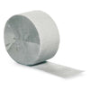 Shimmering Silver Crepe Streamer - 81' 1CT