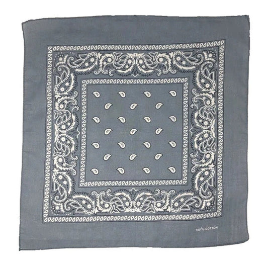 Silver Paisley Bandana