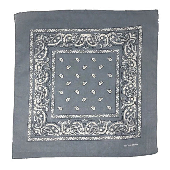 Silver Paisley Bandana
