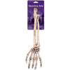 Skeleton Arm 14"
