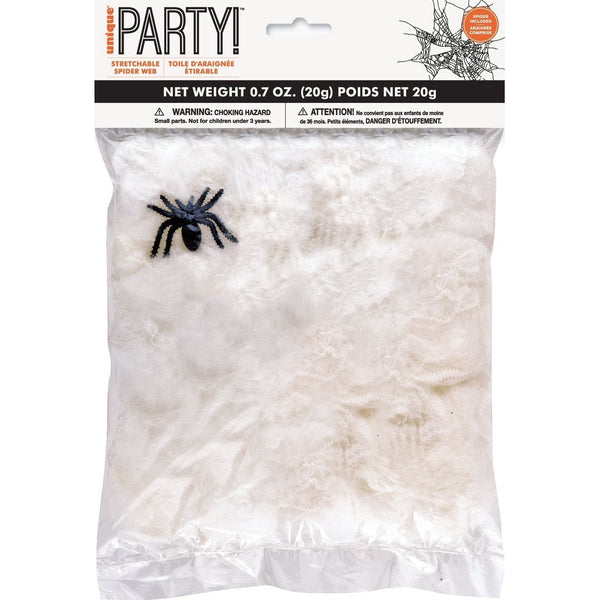 Spider Web with Spider Decoration