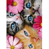 Avanti 3 Kittens Birthday From All Of Us Greeting Card