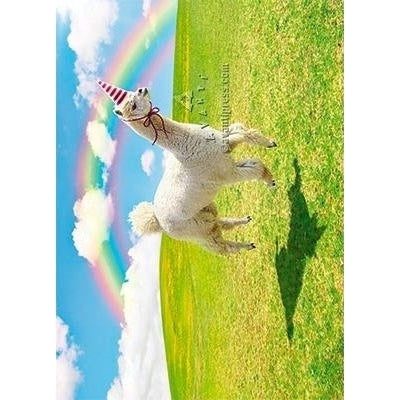 Avanti Alpaca Unicorn Birthday Greeting Card