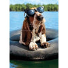Avanti Basset Hound Dean Wearing Su Birthday Greeting Card