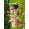Avanti Birthday Six-Paca Alpaca Birthday Greeting Card