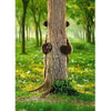Avanti Brown Bear Peek-A-Boo Good Bye Greeting Card