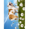 Avanti Bulldog With Dandelion Birthday Greeting Card