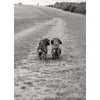Avanti Dog Couple Walking On Path Romantic Birthday Greeting Card