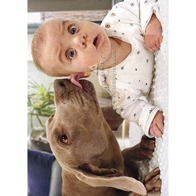 Avanti Dog Licks Baby's Ear Birthday Greeting Card