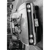 Avanti Dog On Hood Of Car Birthday Greeting Card
