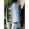 Avanti Dogs In Station Wagon Birthday Greeting Card