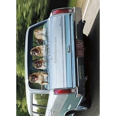 Avanti Dogs In Station Wagon Birthday Greeting Card