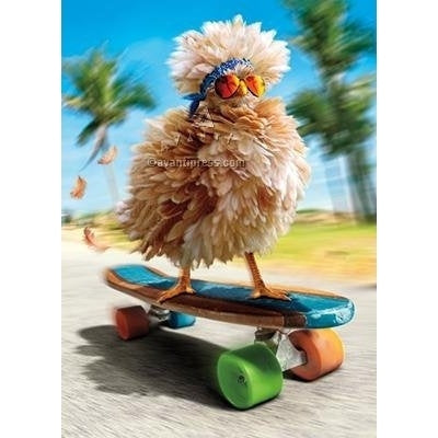Avanti Fancy Chicken Skateboarding Birthday Greeting Card